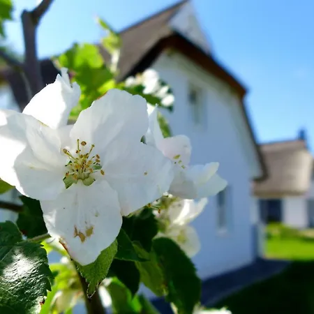 Сasa de vacaciones Himmelblau